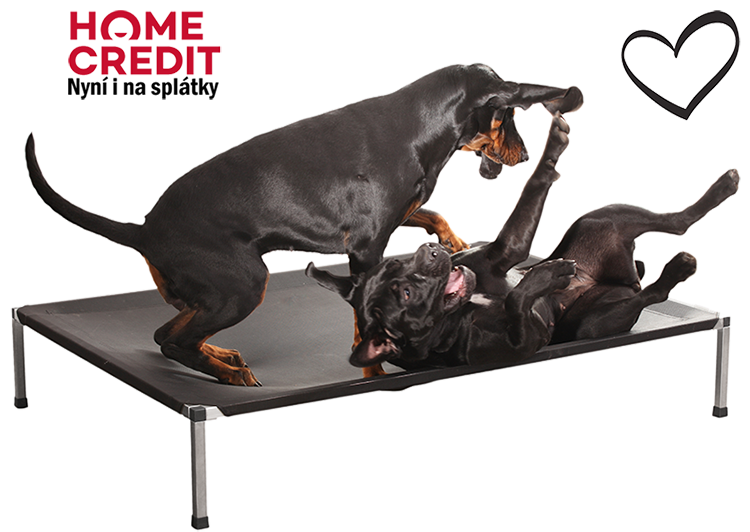 Splatky Ag La orig web pgn